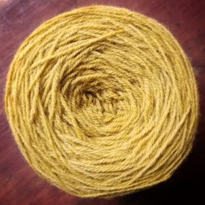 3 Ply - 10235 Variegated Marigold & Indigo