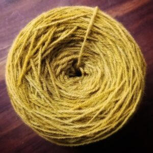 3 Ply - 10234 Variegated Marigold & Indigo