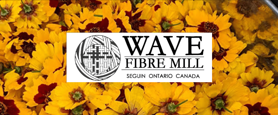 August 2025 Newsletter