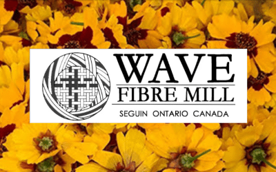 August 2025 Newsletter