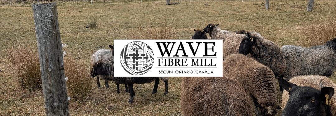 December 2025 Newsletter