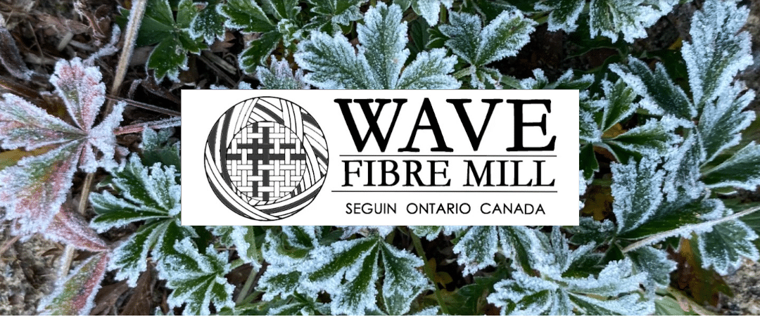 November 2025 Newsletter