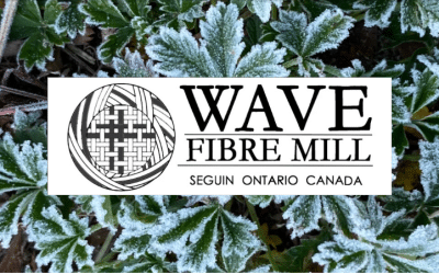 November 2025 Newsletter