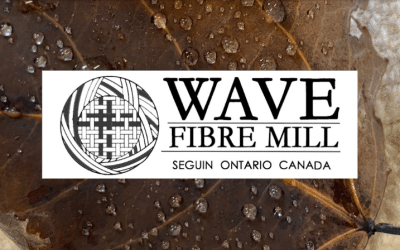 October 2025 Newsletter