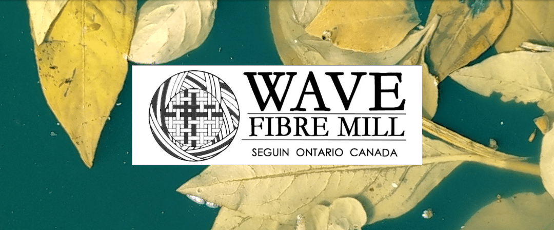 September 2025 Newsletter