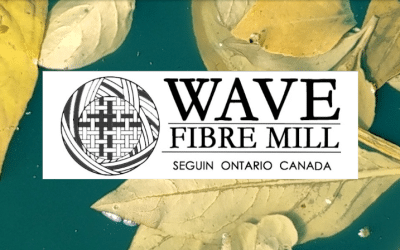 September 2025 Newsletter