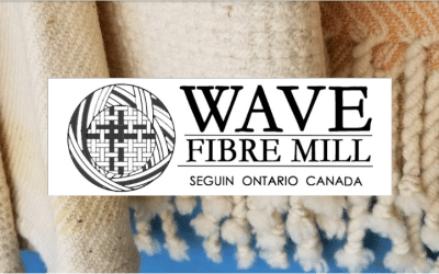 June 2025 Newsletter